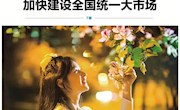 【南国今报】夜紫荆  花曼妙